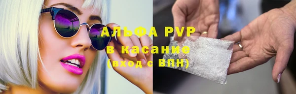 молекула духа Алексеевка