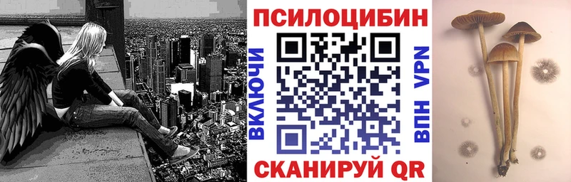 сколько стоит  Удомля  Галлюциногенные грибы мицелий 