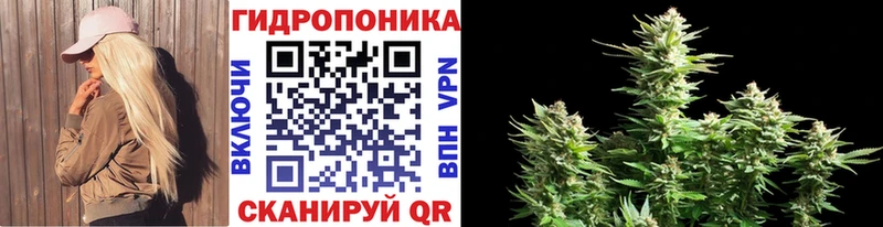 OMG ссылка Удомля Канабис ГИДРОПОН